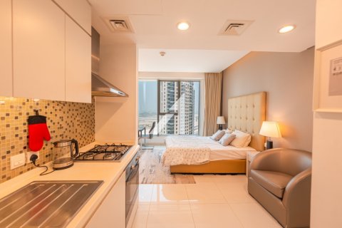 Appartement de Studio à Dubai, UAE No. 102973 8
