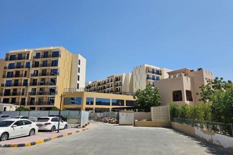 46m² Apartment in Al Hamra Village, UAE No. 172099 24