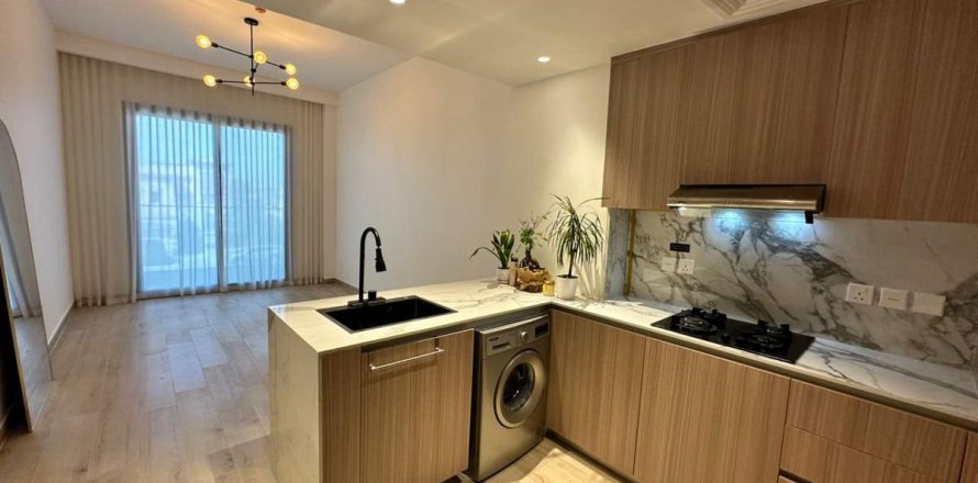 Appartement de 1 chambre à Dubai, UAE No. 161822