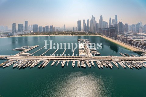 4 bedrooms Apartment in Dubai Harbour, UAE No. 210801 30