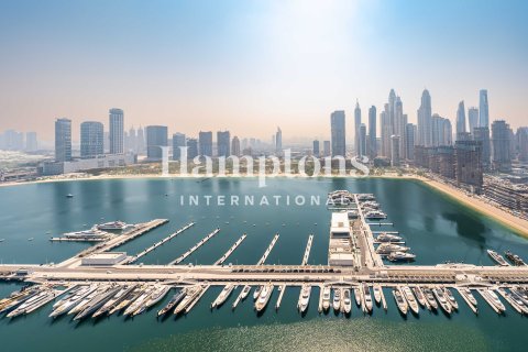 4 bedrooms Apartment in Dubai Harbour, UAE No. 210801 21