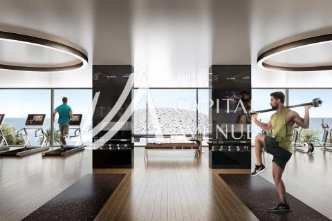 2 غرف نوم شقة على Saadiyat Cultural District, الإمارات العربية المتحدة رقم 199633 15