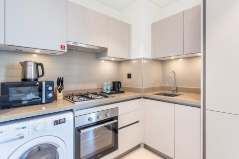 Квартира с 1 спальней в Дубай, ОАЭ №146845 10