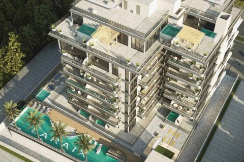 Zyra Hills  No. 124712