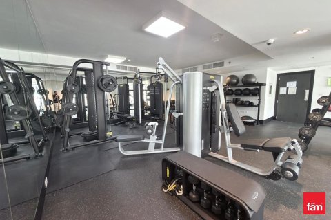 2 bedrooms Apartment in Dubai, UAE No. 161836 13