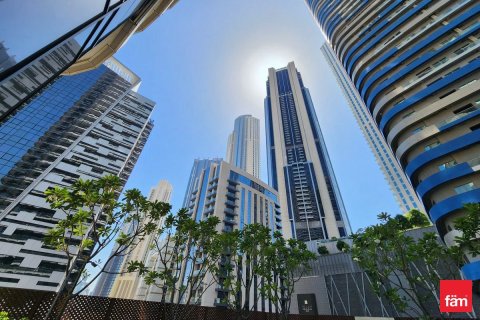 Apartment de 1 dormitorio en Downtown Dubai (Downtown Burj Dubai), UAE No. 166027 5