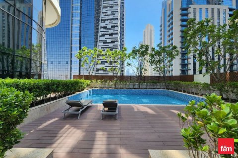 Apartment de 1 dormitorio en Downtown Dubai (Downtown Burj Dubai), UAE No. 166027 29