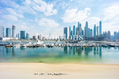 Apartment de 1 dormitorio en Dubai Harbour, UAE No. 160288 4