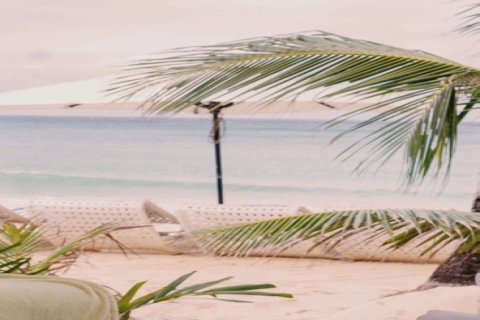 3 bedrooms Villa in Dubai, UAE No. 148780 11