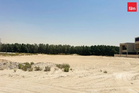 5 غرفة نوم  فيلا  رقم 132025 7