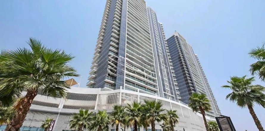 Studio Apartment in Dubai, UAE No. 170001