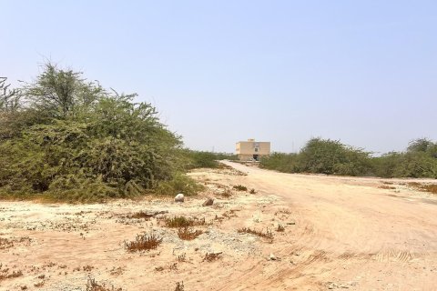 743مربع، قطعة أرض في Al Kharran, الإمارات العربية المتحدة رقم 172135 8