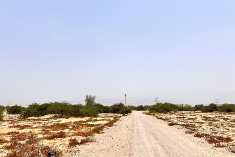 743مربع، قطعة أرض في Al Kharran, الإمارات العربية المتحدة رقم 172135 16