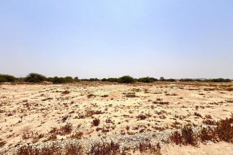 743مربع، قطعة أرض في Al Kharran, الإمارات العربية المتحدة رقم 172135 10