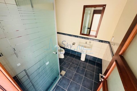 4 غرف نوم فيلا  رقم 125625 20