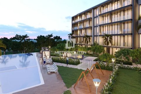 43m² Apartment in Jumeirah Village Circle, UAE No. 171553 10