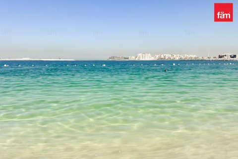 Land de 700m² à Dubai, UAE No. 147883 17