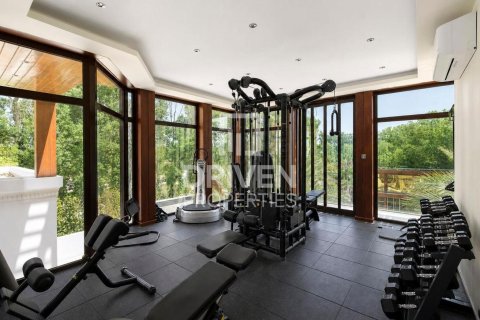 Villa de 1368.55m² à Desert Leaf, UAE No. 204716 29
