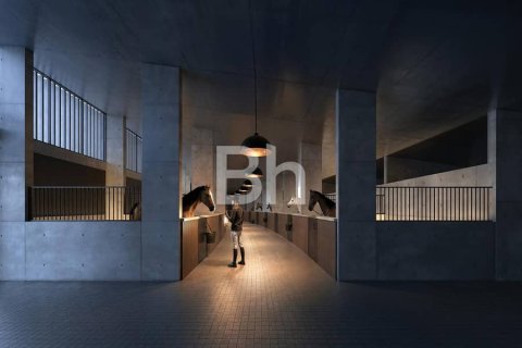 Villa de 4 chambres  No. 113815 19