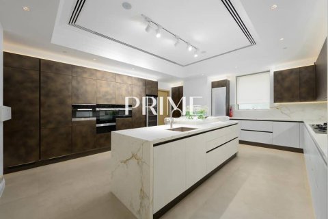 Penthouse de 5 chambres  No. 113889 17