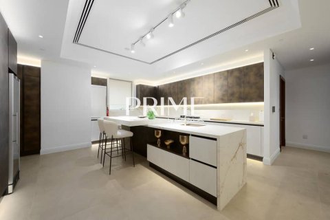 Penthouse de 5 chambres  No. 113889 21