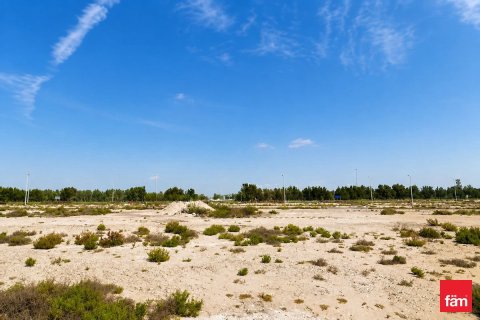 Land de 914.9m² en Jebel Ali, UAE No. 205397 10