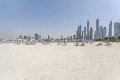Apartment de 1 dormitorio en EMAAR Beachfront, UAE No. 148512 13
