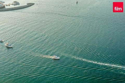 2 غرف نوم شقة في Dubai Harbour, الإمارات العربية المتحدة رقم 148518 13
