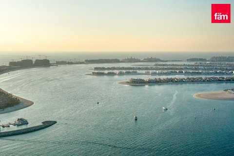 2 غرف نوم شقة في Dubai Harbour, الإمارات العربية المتحدة رقم 148518 8