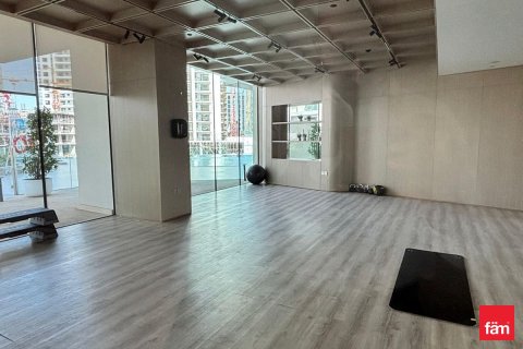 Apartment de 1 dormitorio en Dubai, UAE No. 145397 27