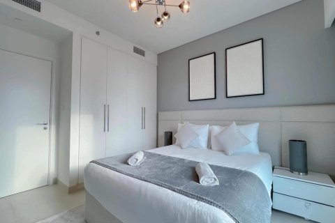 Apartment de 2 dormitorios en Downtown Dubai (Downtown Burj Dubai), UAE No. 101621 14
