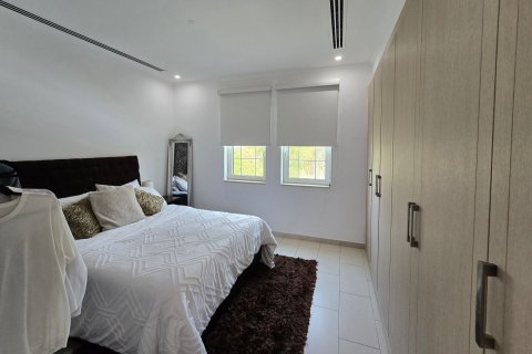 4 غرف نوم فيلا في Jumeirah Park, الإمارات العربية المتحدة رقم 208821 15