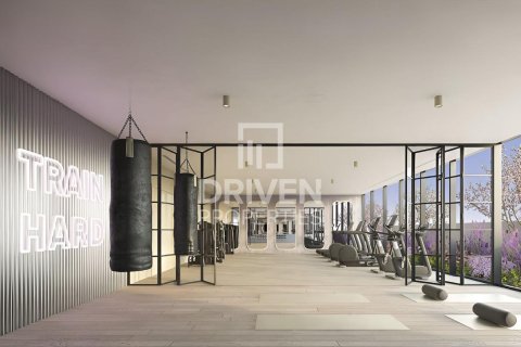 Appartement de Studio à Dubai Residence Complex, UAE No. 201877 9