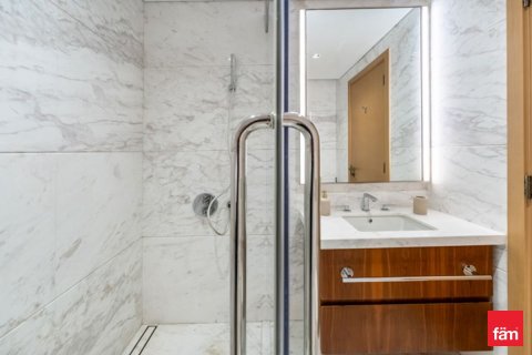 Appartement de 1 chambre à Downtown Dubai (Downtown Burj Dubai), UAE No. 161517 13