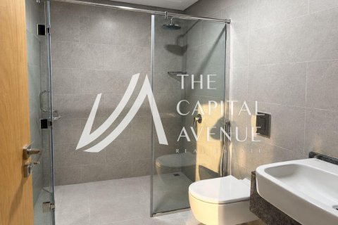 2 bedrooms Apartment in Al Reem Island, UAE No. 202240 11