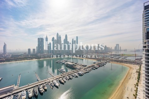 2 غرف نوم شقة في Dubai Harbour, الإمارات العربية المتحدة رقم 125799 14