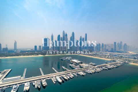 3 غرف نوم شقة في Dubai Harbour, الإمارات العربية المتحدة رقم 125798 20