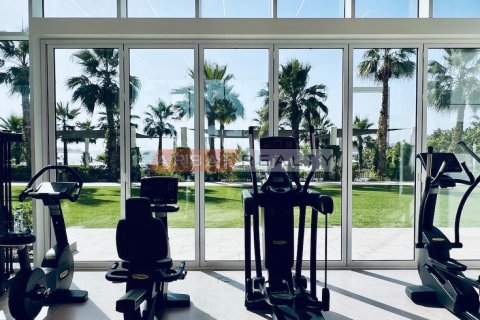 2 bedrooms Apartment in La Vie, UAE No. 205924 14