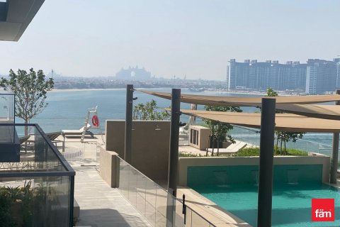 Apartment de 2 dormitorios en Dubai Harbour, UAE No. 135709 11