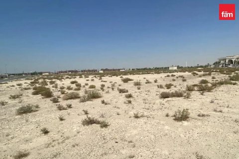Land de 960.1m² à Jebel Ali, UAE No. 147778 4