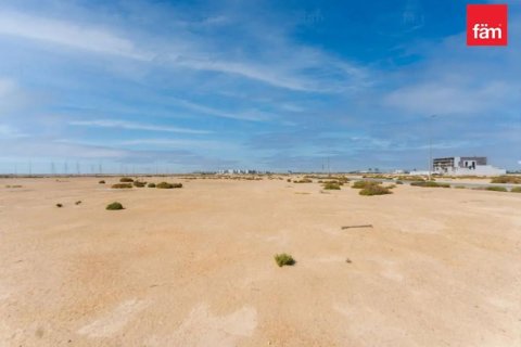 Land de 960.1m² à Jebel Ali, UAE No. 147778 5