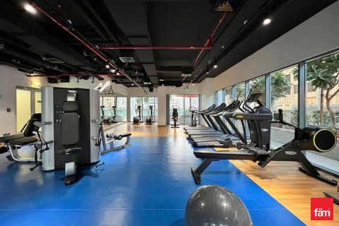 Apartment de 1 dormitorio en Downtown Dubai (Downtown Burj Dubai), UAE No. 166015 13