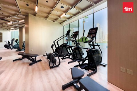 1 bedroom Apartment  No. 132005 22