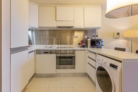 50.8m² Apartment in Downtown Dubai (Downtown Burj Dubai), UAE No. 163253 15