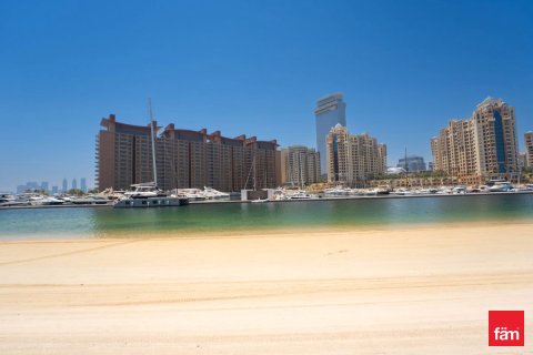 5 bedrooms Villa in Palm Jumeirah, UAE No. 163248 3
