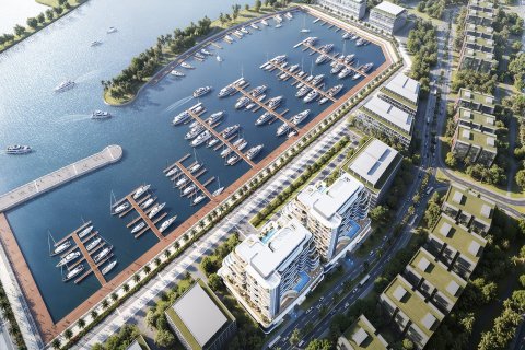 Apartment de 1 dormitorio No. 118650 2