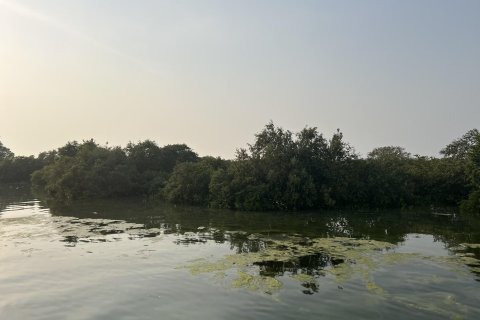 Land de 111484m²  No. 123790 12