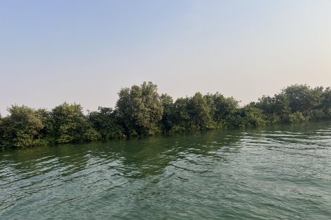 Land de 111484m²  No. 123790 7