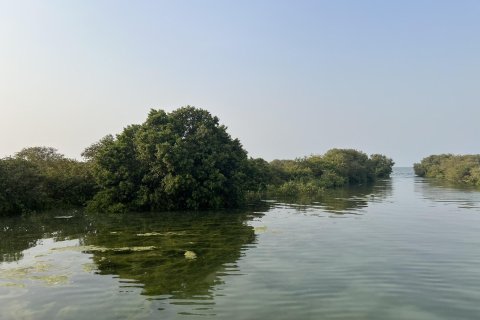 Land de 111484m²  No. 123790 24