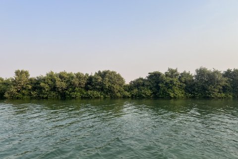 Land de 111484m²  No. 123790 15